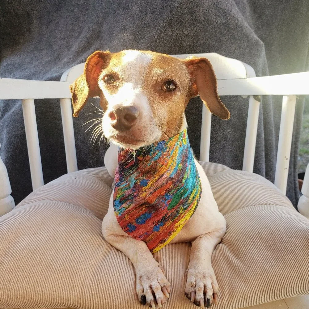 Clip on Dog Bandana With Buckle Pet Cat Bandanna Scarf Colors Paintbrush Strokes